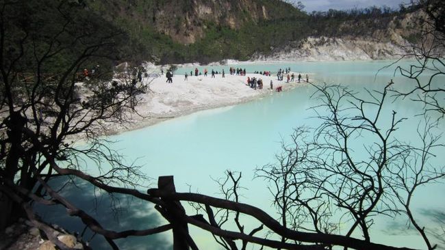 Belerang Kawah Putih: 6 Superpower Tersembunyi!